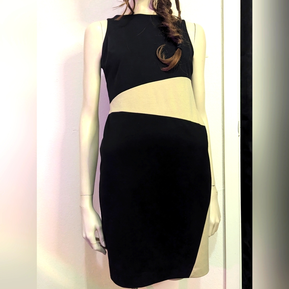 Ann Taylor Bodycon Dress
